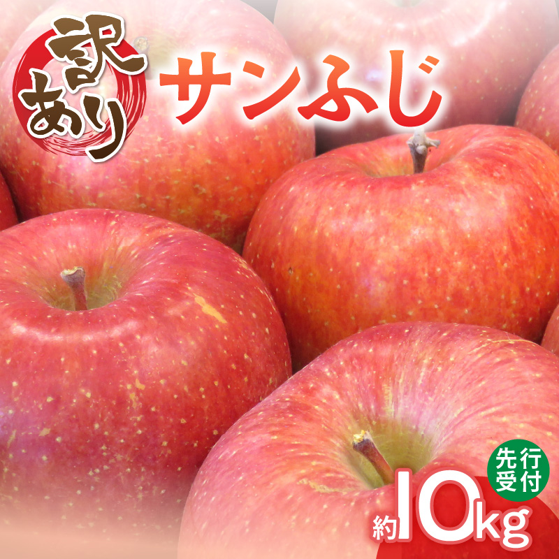 054-003 ≪先行受付≫【訳あり】サンふじ10kg 28～46玉 【2025年12月中旬発送予定】