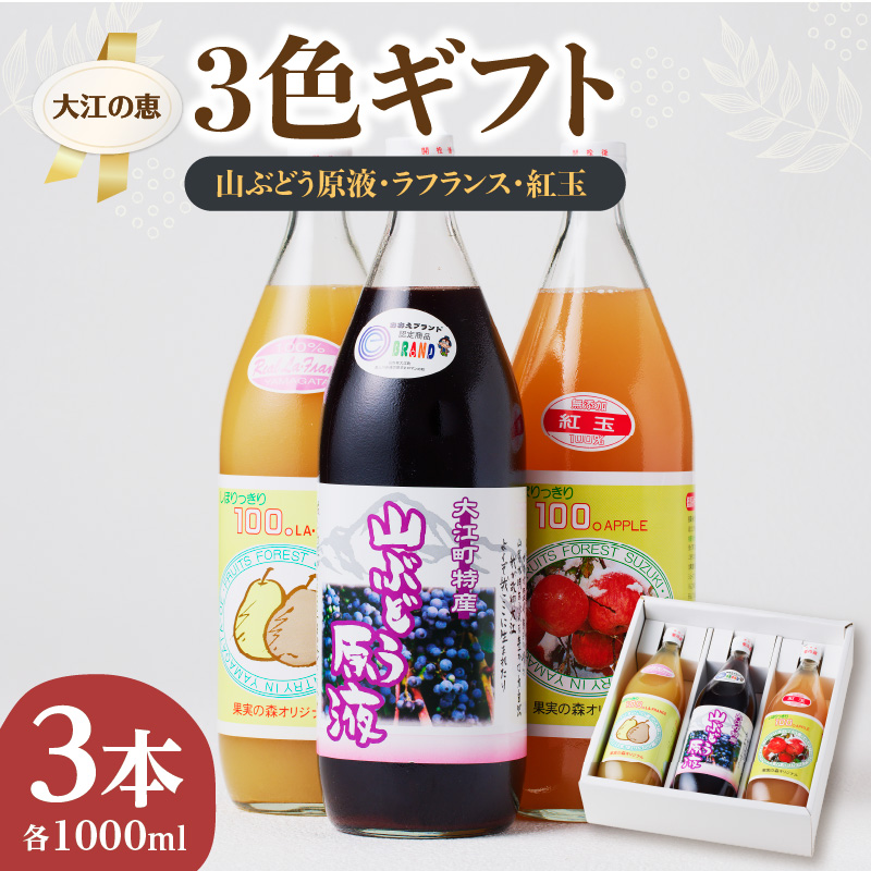003-022 大江の恵 3色ギフト（山ブドウ原液、ラフランス、紅玉各1000ml）