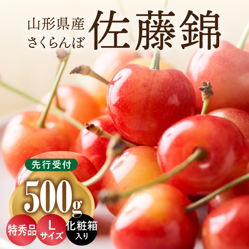 001-071  ≪先行受付≫さくらんぼ 佐藤錦 500g 特秀品 Lサイズ 化粧箱入【2026年6月中旬頃～発送予定】【山形県産さくらんぼ】