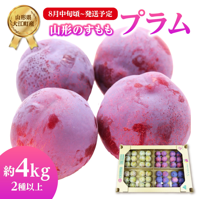 001-076  《先行受付》すもも（プラム）約4kg 2種以上【2026年8月中旬頃～発送予定】【山形プラム・大江町産】