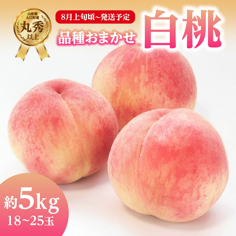 001-101  《先行受付》品種おまかせ 白桃 約5kg【丸秀以上】 （18～25玉）【2026年8月上旬頃～発送予定】