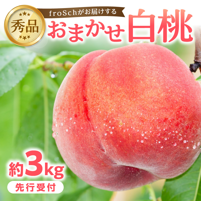 060-002 ≪先行受付≫ froSchがお届けするおまかせ白桃 約3kg 【2026年7月下旬より順次発送予定】