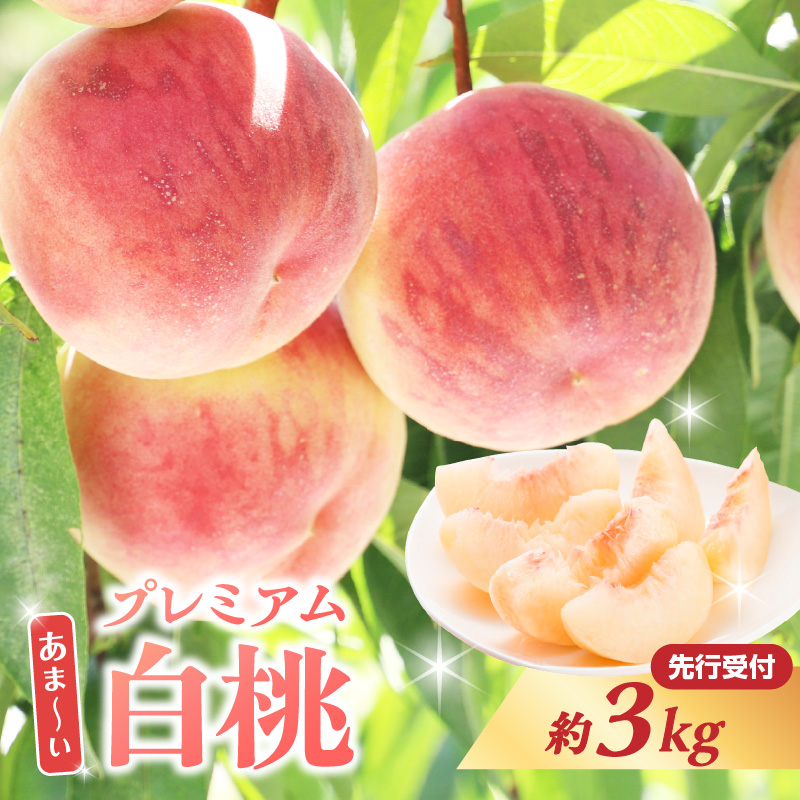 060-014≪先行受付≫ 甘～い プレミアム白桃 約3kg【2026年8月中旬頃～発送予定】