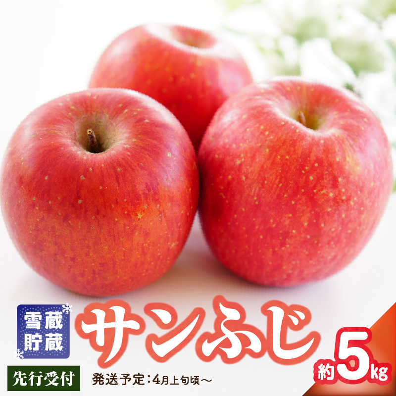 015-051  《先行受付》家庭用 雪蔵貯蔵 サンふじ 約5kg【2026年4月上旬頃～発送予定 冷蔵お届け】【大江町産・山形りんご・りんご専科 清野】