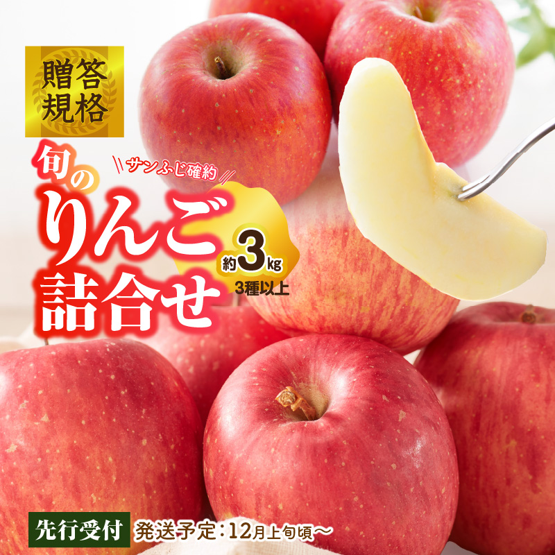 015-052 《先行受付》贈答規格 旬のりんご詰合せ約3kg（サンふじ確約3種以上）特秀～秀 大江町産【2026年12月上旬頃～発送予定】【大江町産・山形りんご・りんご専科 清野】
