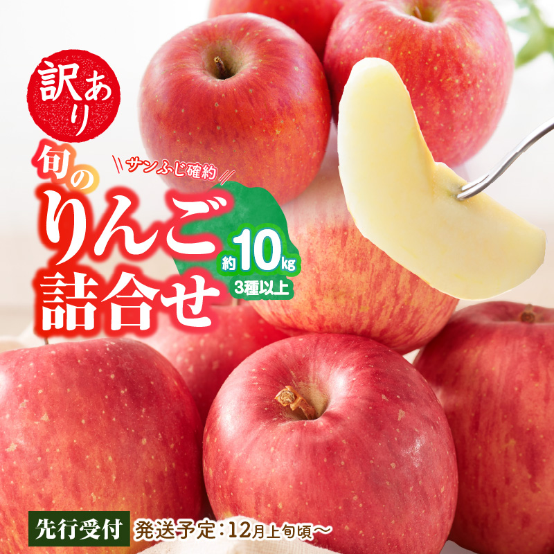015-053 《先行受付》訳あり 旬のりんご詰合せ約10kg（サンふじ確約3種以上）【2026年12月上旬頃～発送予定】【大江町産・山形りんご・りんご専科 清野】