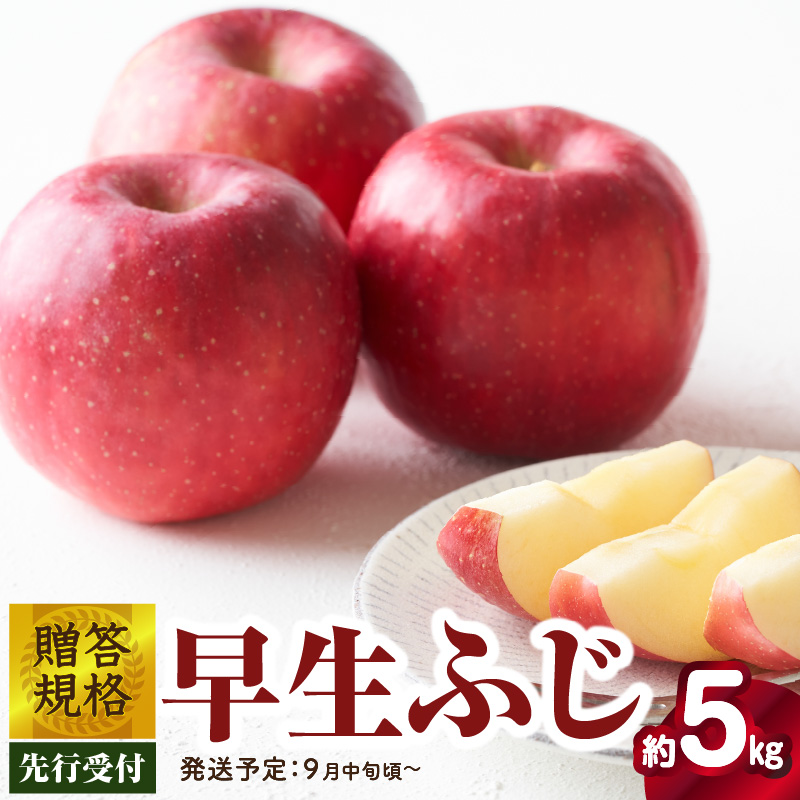 015-054 《先行受付》贈答規格 早生ふじ約5kg（特秀～秀14～20玉）【2026年9月中旬頃～発送予定】【大江町産・山形りんご・りんご専科 清野】