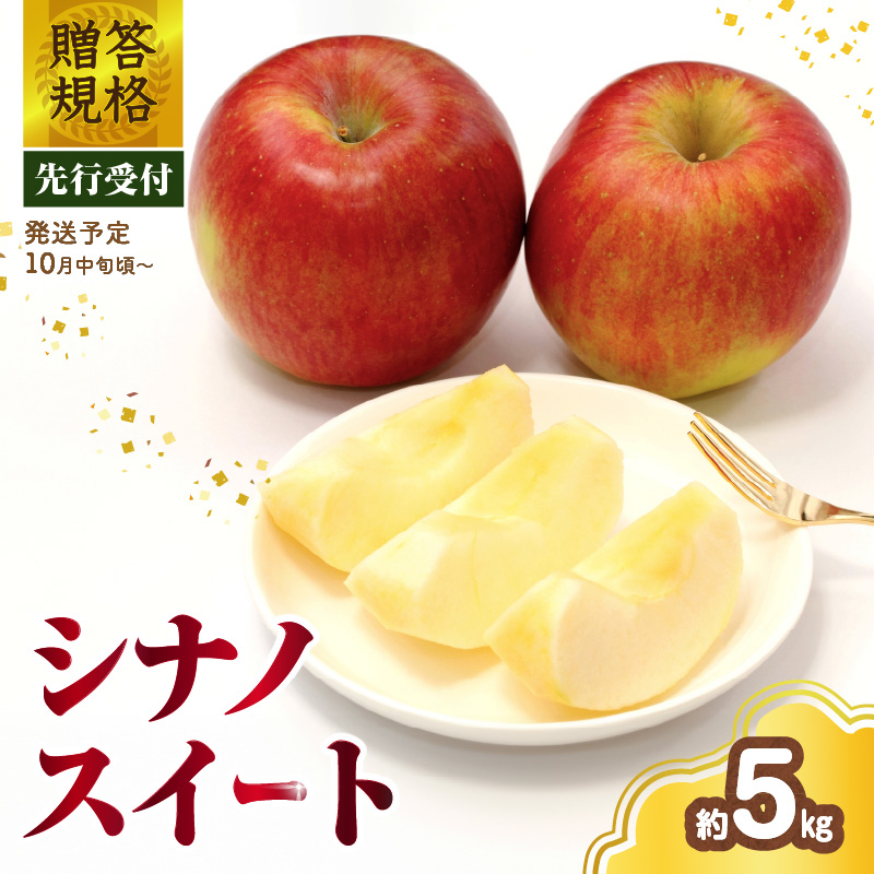 015-056 《先行受付》 贈答規格 シナノスイート約5kg（特秀～秀14～20玉）【2026年10月中旬～発送予定】【大江町産・山形りんご・りんご専科 清野】