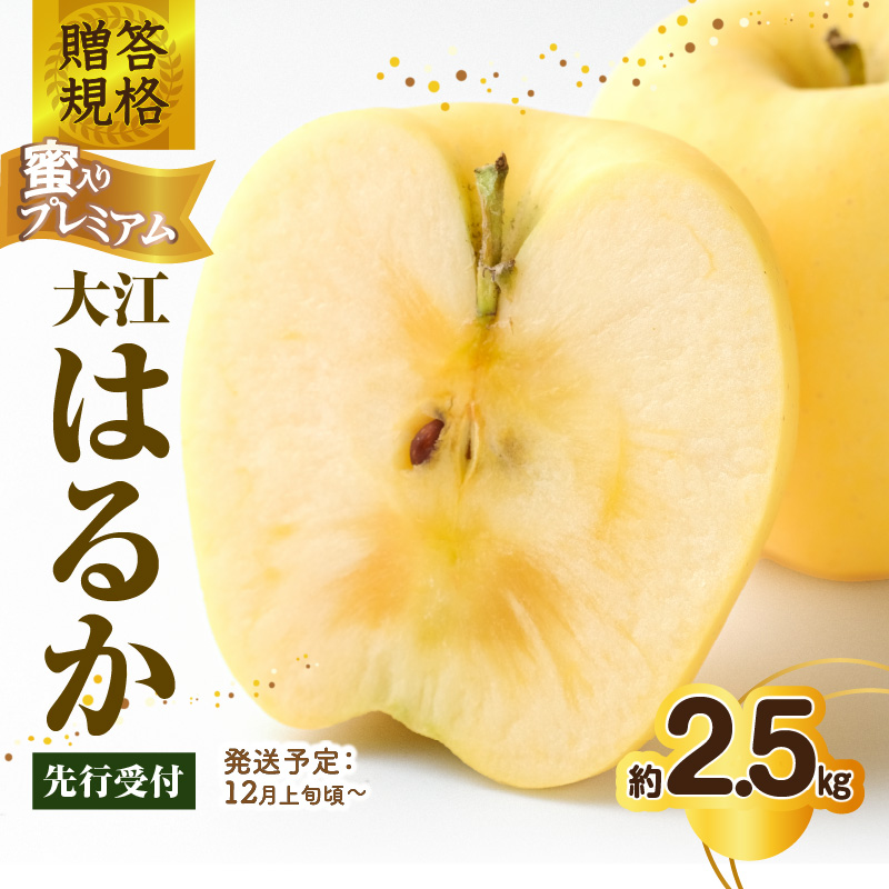 015-059  《先行受付》贈答規格 蜜入りプレミアム大江はるか約2.5kg 特秀～秀【2026年12月上旬～発送予定】【大江町産・山形りんご・りんご専科 清野】