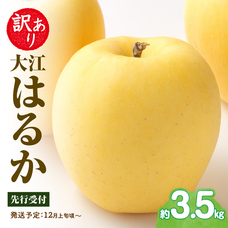 015-060  《先行受付》訳あり 大江はるか約3.5kg【2026年12月上旬～発送予定】【大江町産・山形りんご・りんご専科 清野】