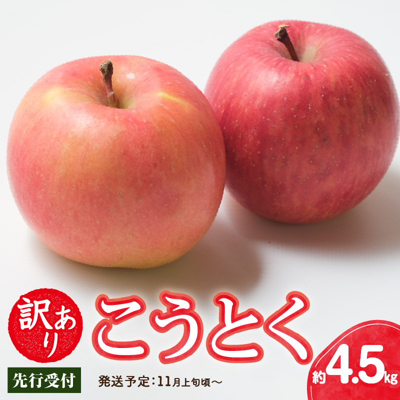 015-063  《先行受付》訳ありこうとく約4.5kg【2026年11月上旬～発送予定】【大江町産・山形りんご・りんご専科 清野】