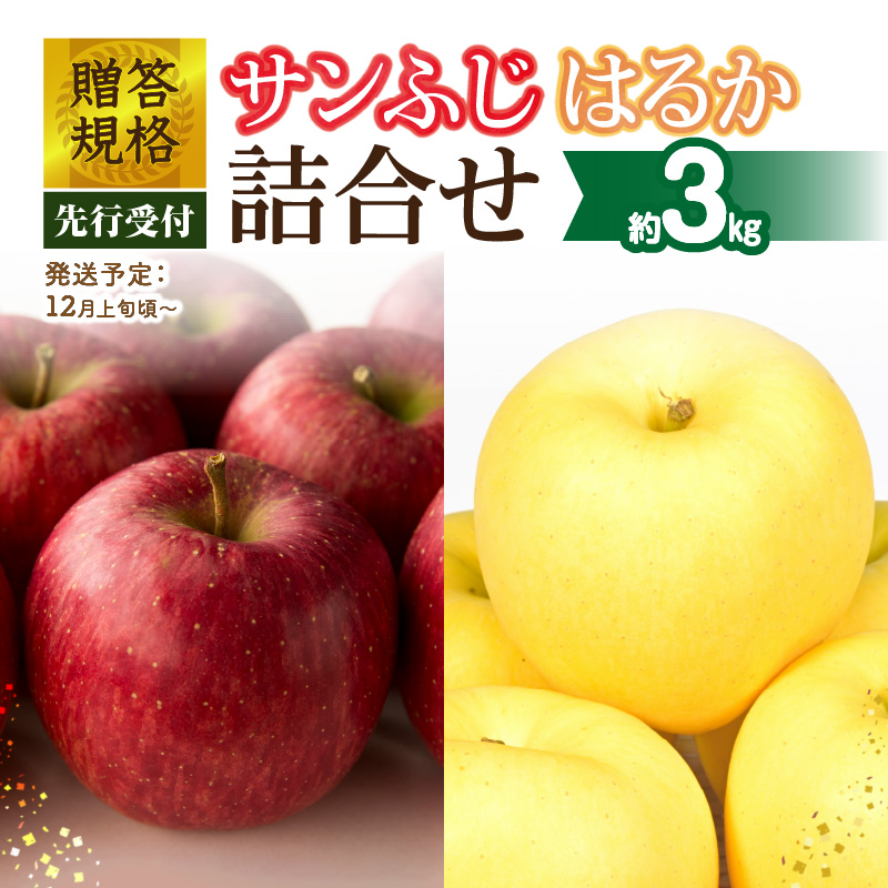 015-064  《先行受付》贈答規格「サンふじ」「はるか」約3kg詰合せ（特秀～秀）【2026年12月上旬～発送予定】【大江町産・山形りんご・りんご専科 清野】
