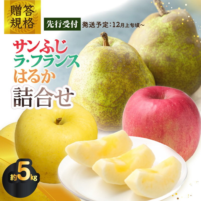 015-065  《先行受付》贈答規格「サンふじ」「ラフランス」「はるか」約5kg詰合せ（特秀～秀）【2026年12月上旬～発送予定】【大江町産・山形りんご・りんご専科 清野】