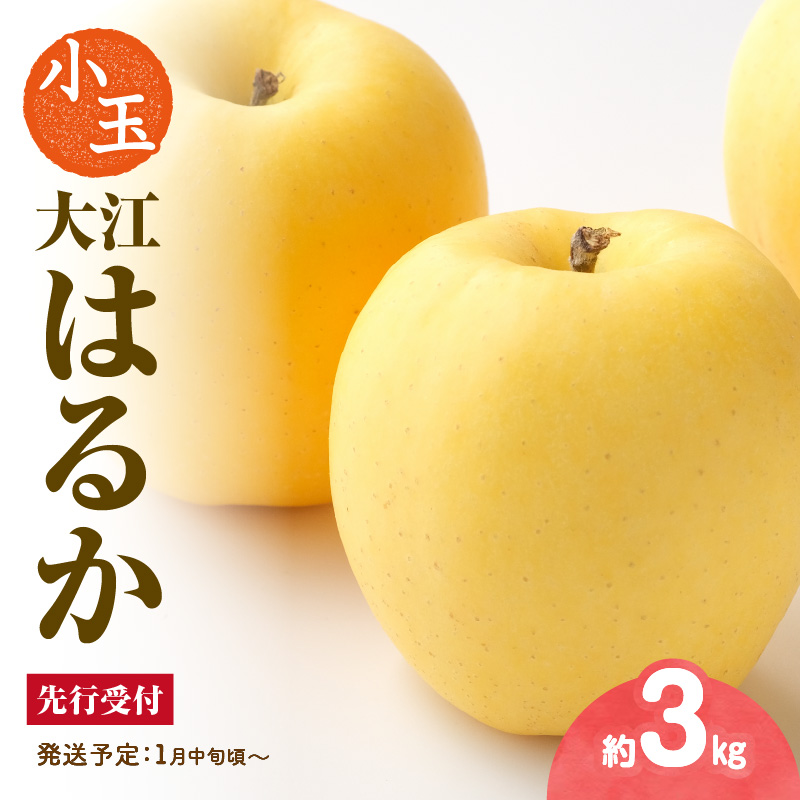 015-066  《先行受付》 小玉・大江はるか約3kg（有袋栽培）【2026年1月中旬頃～発送予定】