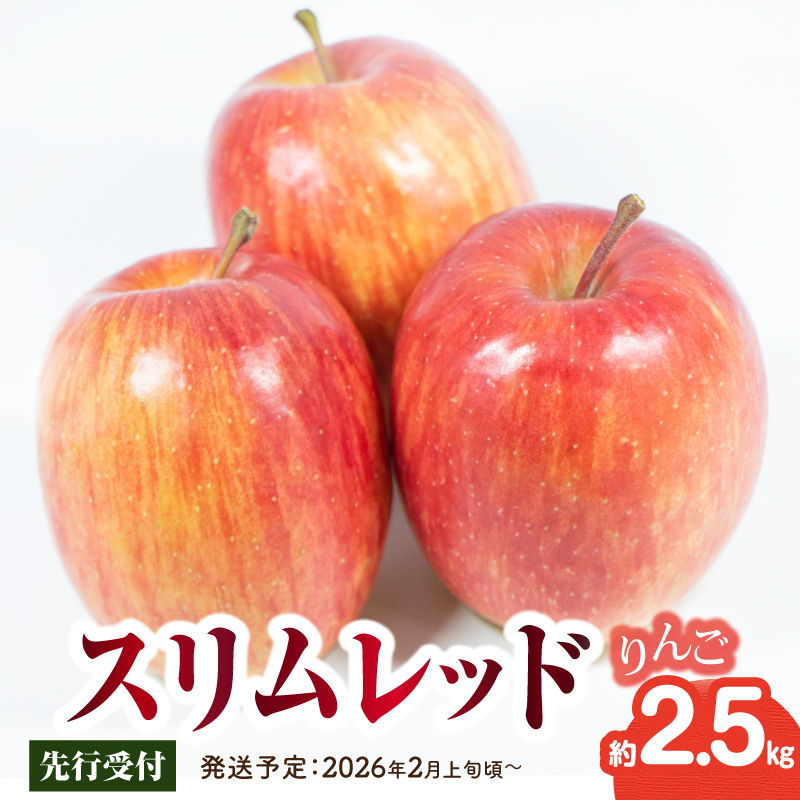 015-069  《先行受付》スリムレッドりんご 約2.5kg【2026年2月上旬頃～発送予定】【大江町産・山形りんご・りんご専科 清野】
