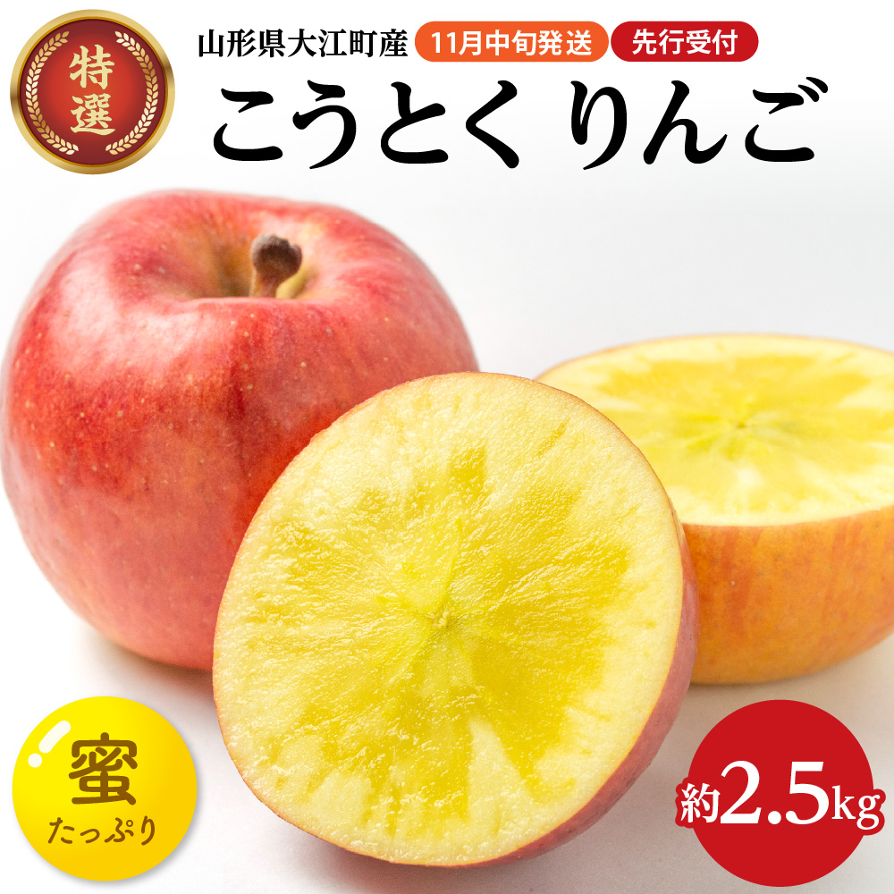 028-024  《先行受付》特選こうとくりんご約2.5kg 【2026年11月中旬頃～発送予定】【大江町産・山形りんご・大地農産・11月・12月】