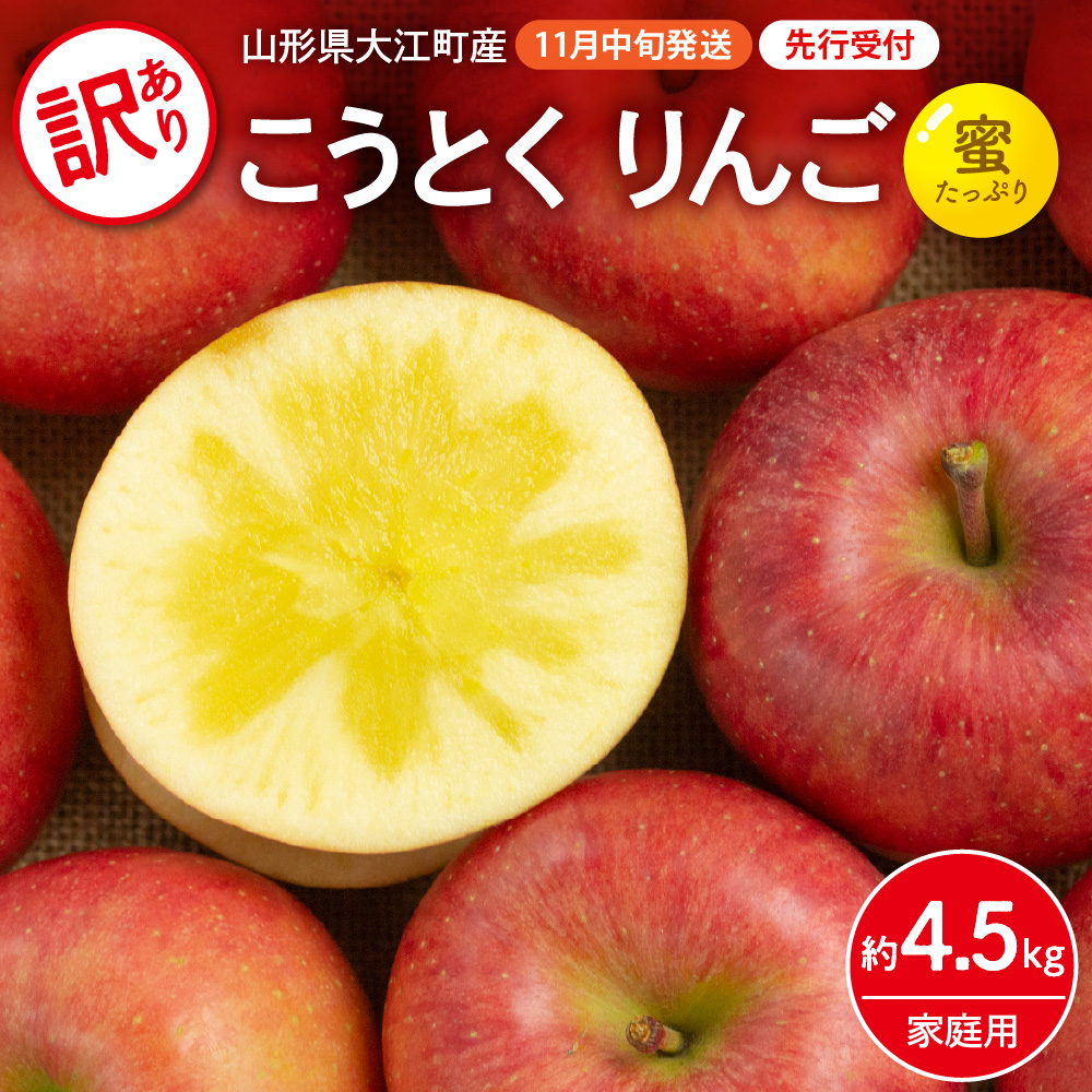 028-025  《先行受付》訳ありこうとくりんご約4.5kg 【2026年11月中旬頃～発送予定】【大江町産・山形りんご・大地農産・11月・12月】