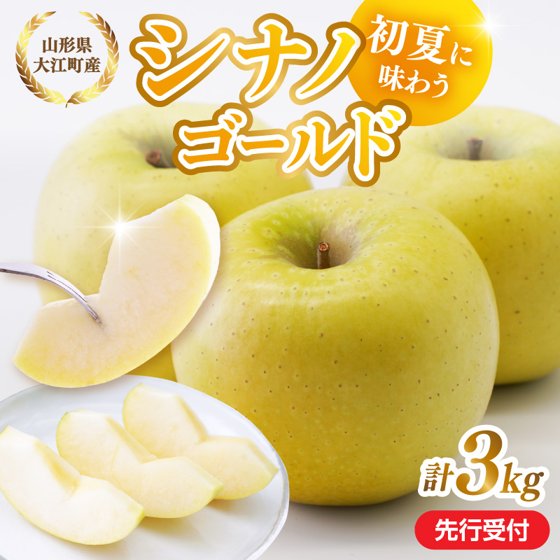 028-037 《先行受付》大江町産 りんご シナノゴールド約3kg  【2026年5月上旬頃～順次発送予定】