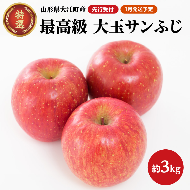 028-027 《先行受付》【2027年1月発送予定】 最高級 特選大玉サンふじ約3kg 【大江町産・山形りんご・大地農産】