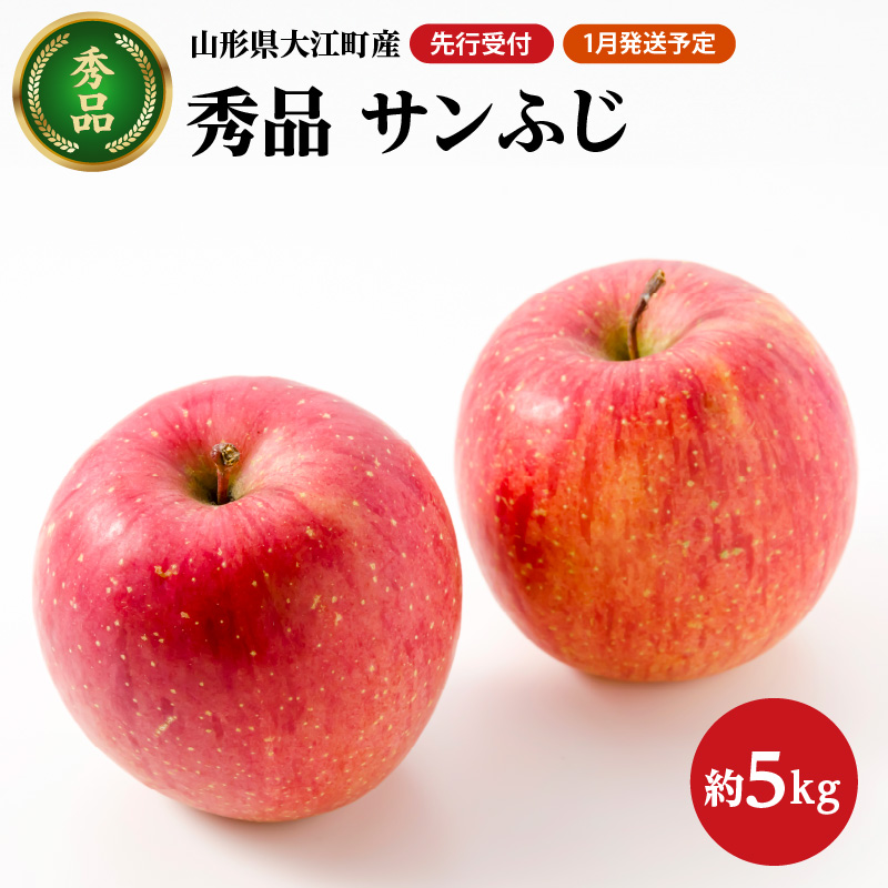 028-026 《先行受付》【2027年1月発送予定】 サンふじ約5kg・秀品【大江町産・山形りんご・大地農産】