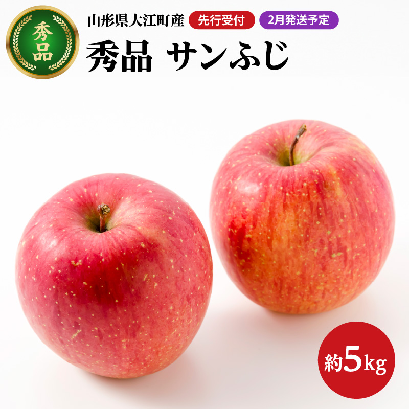 028-030 《先行受付》【2027年2月発送予定】 サンふじ約5kg・秀品【大江町産・山形りんご・大地農産】