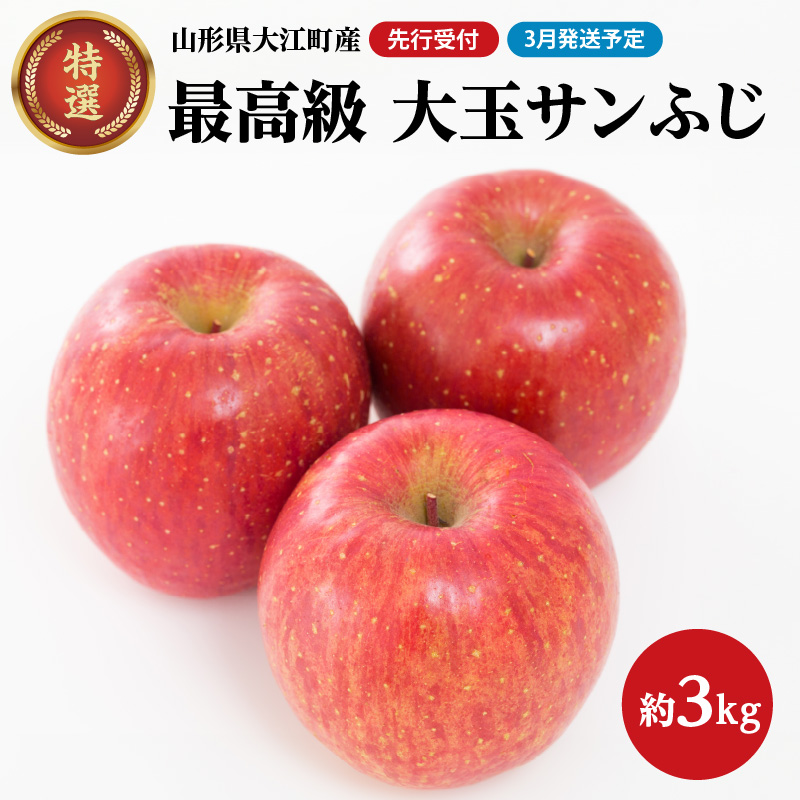 028-035《先行受付》【2027年3月発送予定】 最高級 特選大玉サンふじ約3kg【大江町産・山形りんご・大地農産】