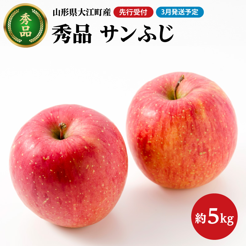 028-034 《先行受付》【2027年3月発送予定】 サンふじ約5kg・秀品【大江町産・山形りんご・大地農産】