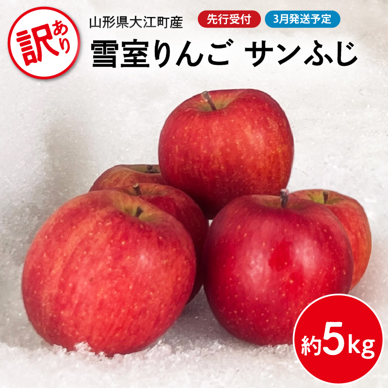 028-033 《先行受付》【2027年3月発送予定】 訳あり 雪室りんごサンふじ 約5kg【大江町産・山形りんご・大地農産】