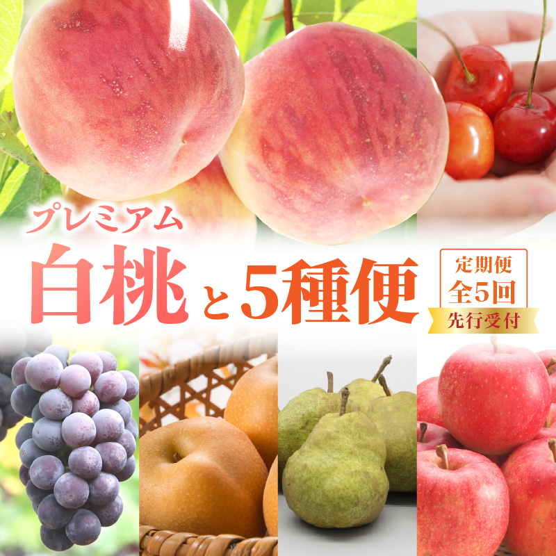 060-T12《先行受付》プレミアム白桃と5種便【定期便全5回】