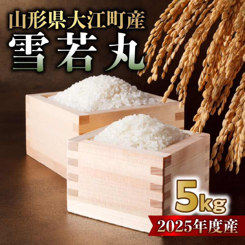 004-020 山形県大江町産 雪若丸5kg【2025年度産米】
