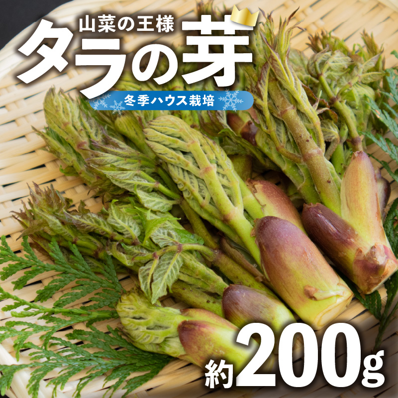 022-007 《先行予約》タラの芽 約200g 【2026年3月中旬～順次発送予定】