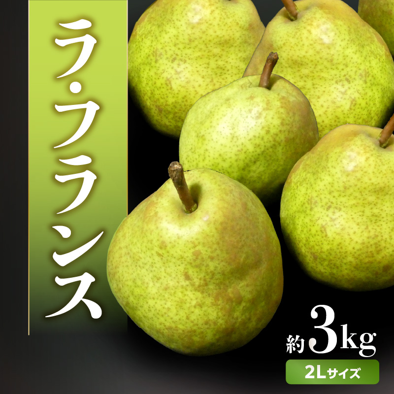 022-008 《先行受付》ラフランス 約3kg（2Lサイズ 8～9玉）【2026年11月上旬より順次発送予定】