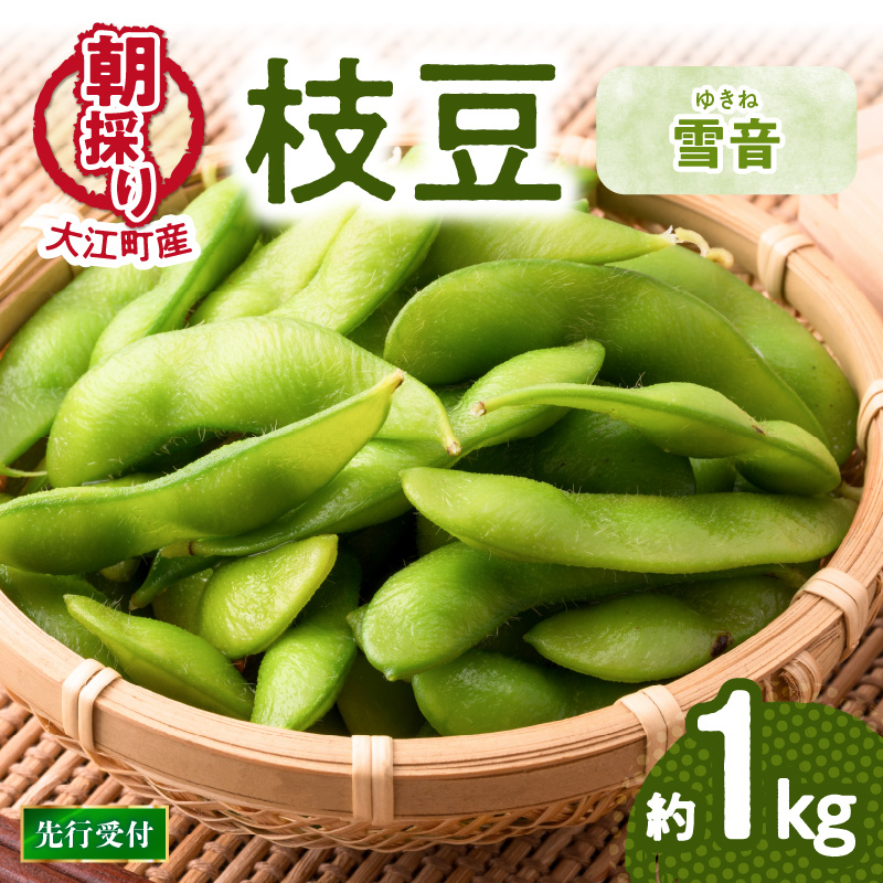 022-004  《先行受付》枝豆（雪音）約1kg【2026年8月末より順次発送予定】