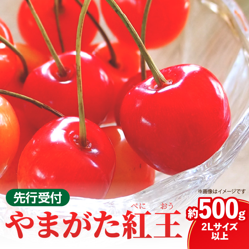 022-012 《先行受付》さくらんぼ 山形紅王（やまがたべにおう）約500g (2Lサイズ以上) 【2026年6月中旬～順次発送予定】