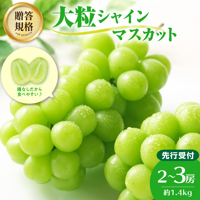 024-003 《先行受付》贈答規格シャインマスカット 約1.4kg（2～3房）【2026年9月中旬頃～順次発送予定】【山形ぶどう・大江町産・小林葡萄園】