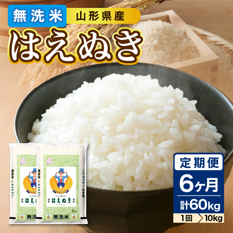 036-T13 《6ヶ月定期便》山形県産 無洗米 令和7年産 はえぬき 10kg(5kg×2袋)×6ヶ月(計60kg)【山形県産 BG精米製法】