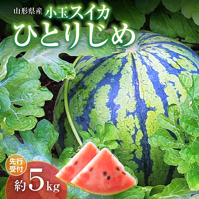 043-004《先行受付》小玉スイカ ひとりじめ 約5kg【2026年7月上旬頃～順次発送予定】【山形県産 西瓜】