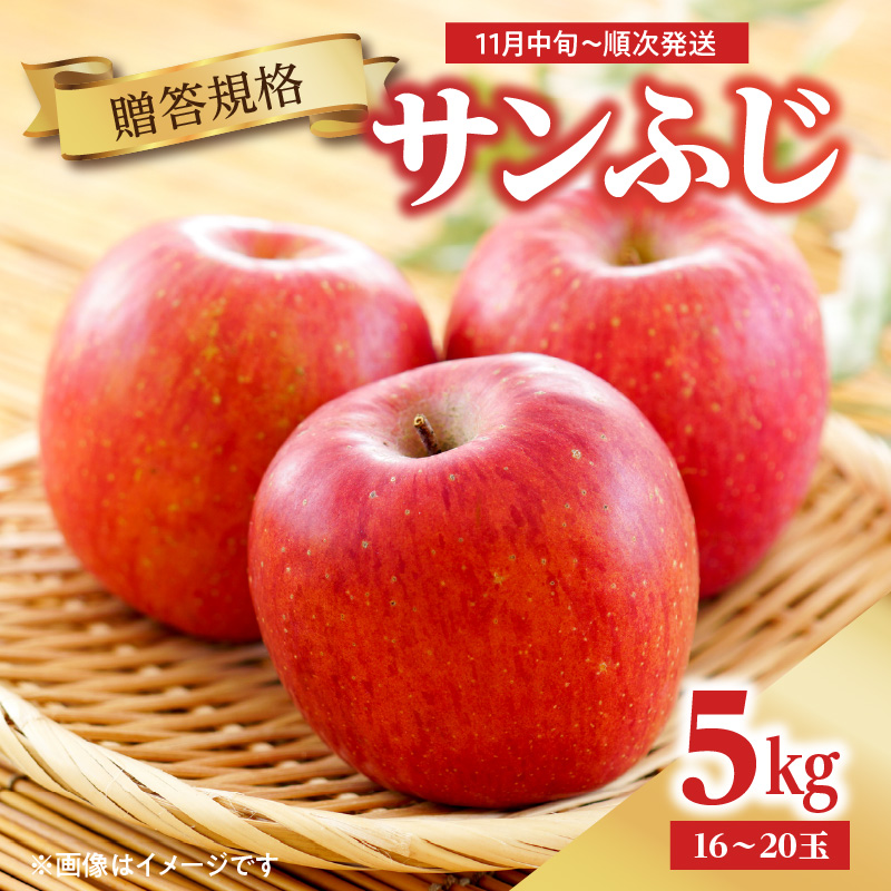 043-005《先行受付》【贈答規格】サンふじ 5kg（16玉～20玉）【2026年11月中旬頃～順次発送予定】