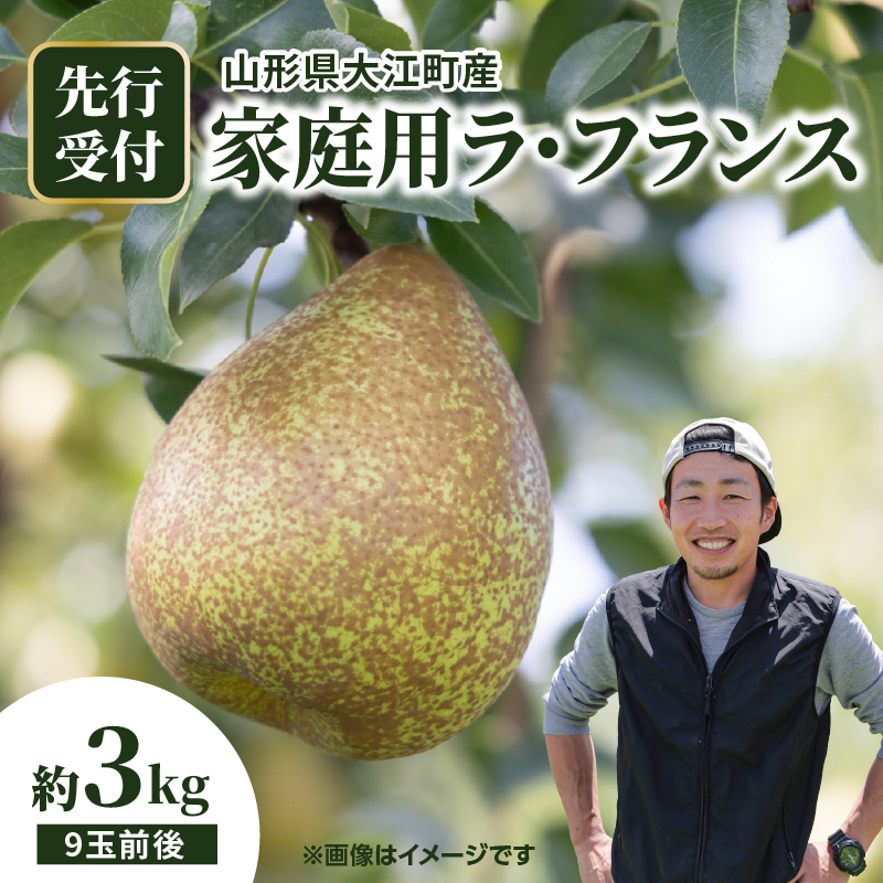 067-008 《先行受付》大江町産 家庭用ラフランス 約3kg【2026年11月中旬頃～順次発送予定】