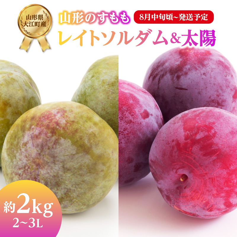001-078  《先行受付》すもも「レイトソルダム」「太陽」約2kg 2～3L【2026年8月中旬頃～発送予定】【山形プラム・大江町産】