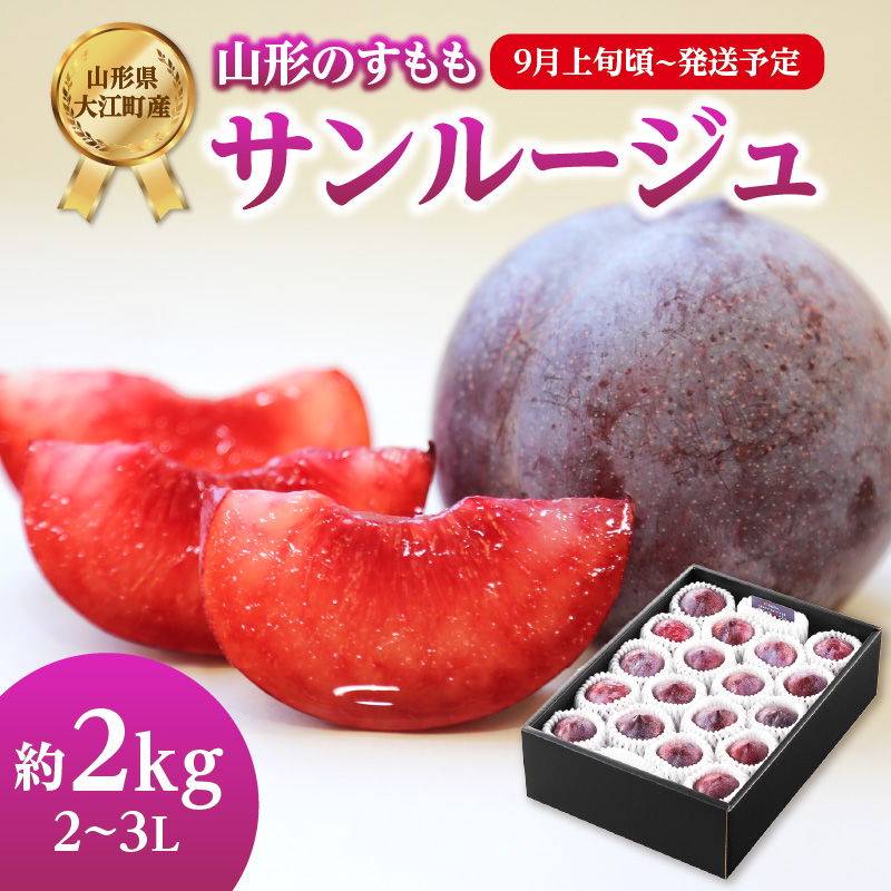 001-079  《先行受付》すもも「サンルージュ」約2kg 2～3L【2026年9月上旬頃～発送予定】【山形プラム・大江町産】