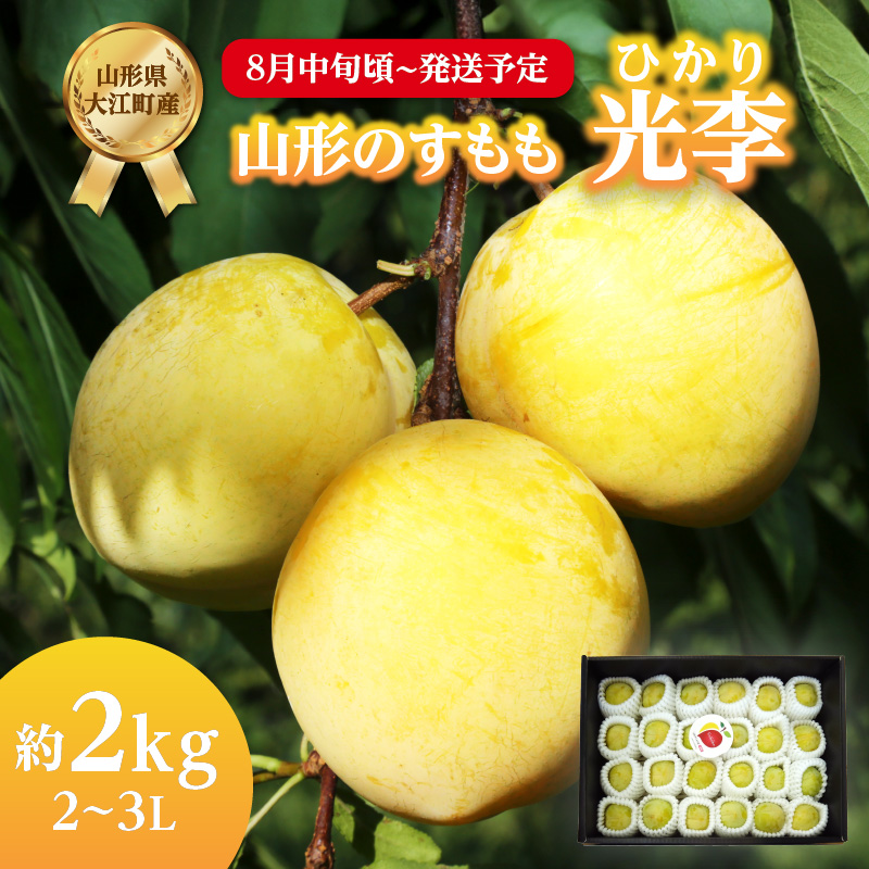001-080  《先行受付》すもも「光李（ひかり）」約2kg 2～3L【2026年8月中旬頃～発送予定】【山形プラム・大江町産】