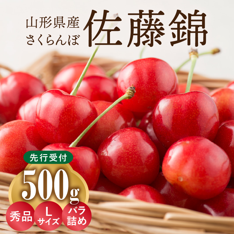 001-096  《先行受付》さくらんぼ 佐藤錦 500g 秀品 Lサイズ  バラ詰め 【2026年6月中旬頃～発送予定】【山形県産さくらんぼ】