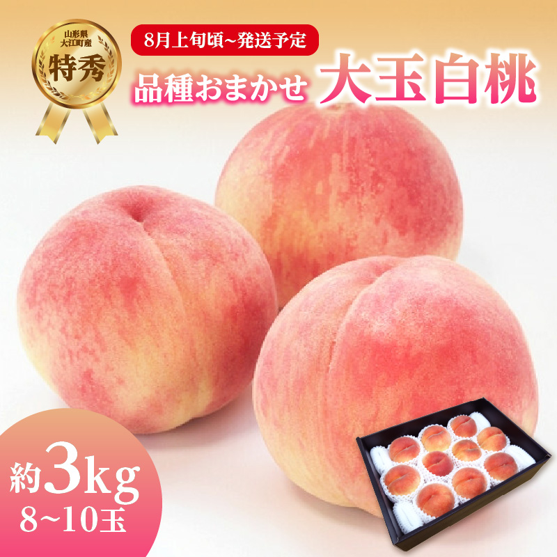 001-100  《先行受付》品種おまかせ 大玉白桃 約3kg【特秀】 （8～10玉）【2026年8月上旬頃～発送予定】