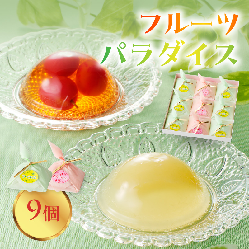 007-008 御菓子処蝶谷　フルーツパラダイス　9ヶ入・化粧箱