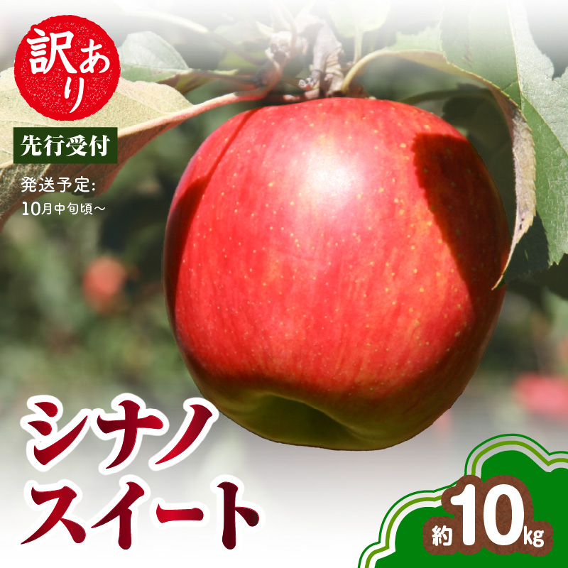 015-057  《先行受付》訳あり シナノスイート約10kg（28～46玉）【2026年10月中旬～発送予定】【大江町産・山形りんご・りんご専科 清野】
