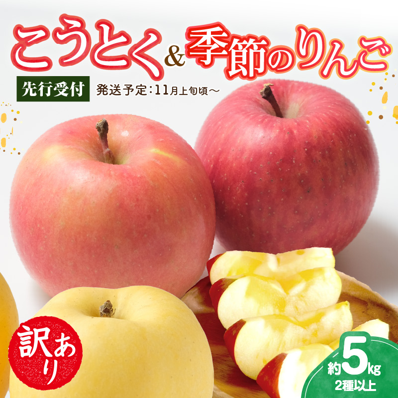 015-062 《先行受付》訳ありこうとく＆季節のりんご詰合せ約5kg 2種以上【2026年11月上旬～発送予定】【大江町産・山形りんご・りんご専科 清野】