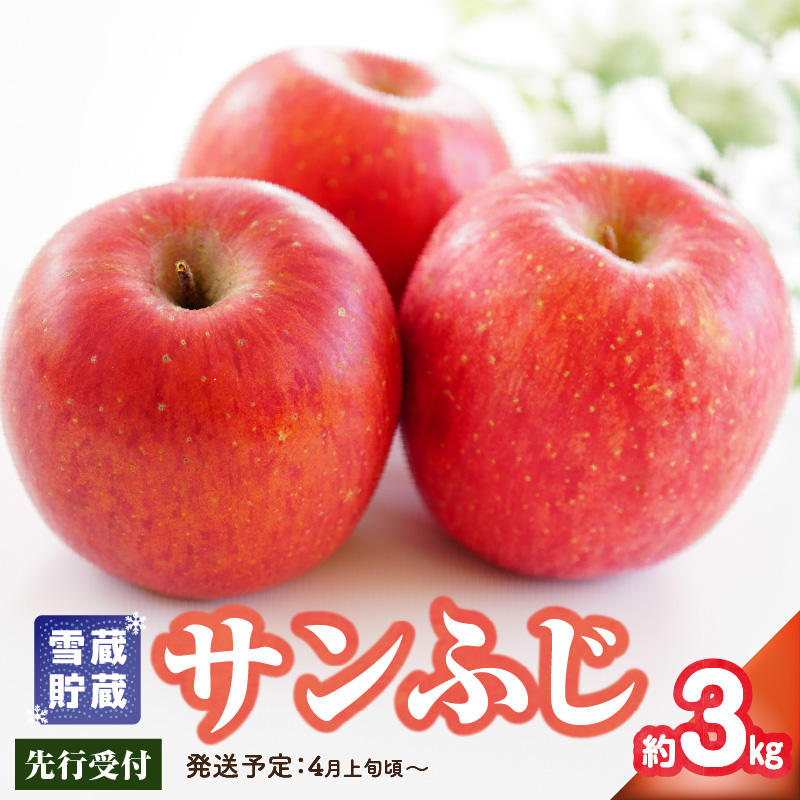 015-067  《先行受付》贈答規格 雪蔵貯蔵 サンふじ 約3kg【2026年4月上旬頃～発送予定】【大江町産・山形りんご・りんご専科 清野】