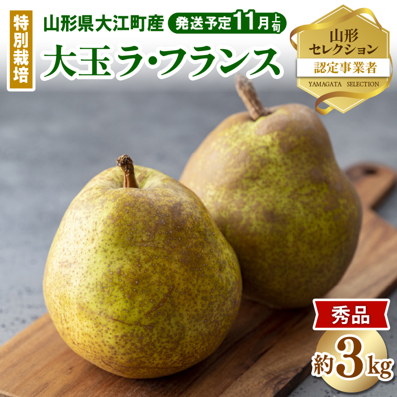 025-016 《先行受付》特別栽培 大玉 ラフランス 約3kg・秀品4L～3L  【2026年11月上旬頃～発送予定】