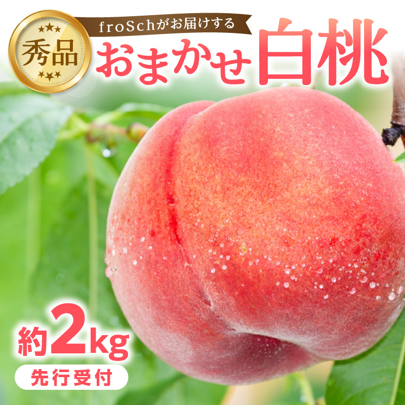 060-001 ≪先行受付≫ froSchがお届けするおまかせ白桃 約2kg 【2026年7月下旬より順次発送予定】
